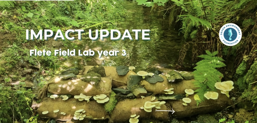 IMPACT STORIES flete field lab (1024 x 600 px) - 1