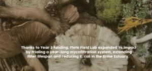 IMPACT STORIES flete field lab (1024 x 600 px) - 5