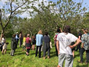 Apricot centre May 2022 3