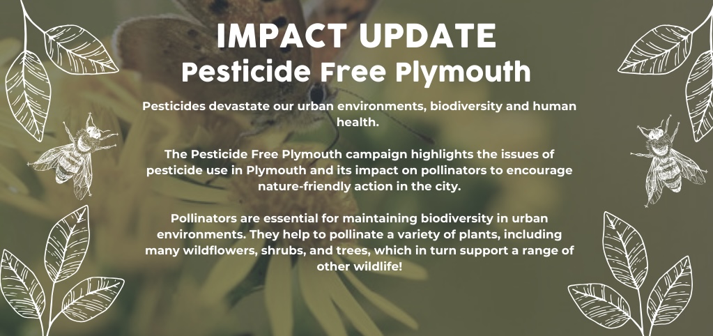 Pollenize impact update (1024 x 600 px) - 1