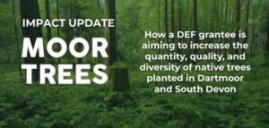 WEBSITE SLIDERS- moor trees - impact update (1024 x 600 px) - 1