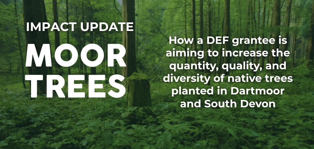 WEBSITE SLIDERS- moor trees - impact update (1024 x 600 px) - 1