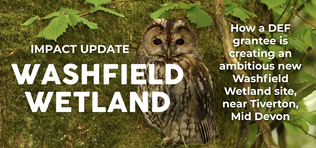 WEBSITE SLIDERS - Washfield Wetland - 1