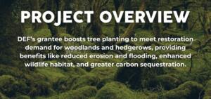 WEBSITE SLIDERS- moor trees - impact update (1024 x 600 px) - 2