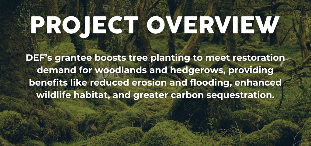 WEBSITE SLIDERS- moor trees - impact update (1024 x 600 px) - 2