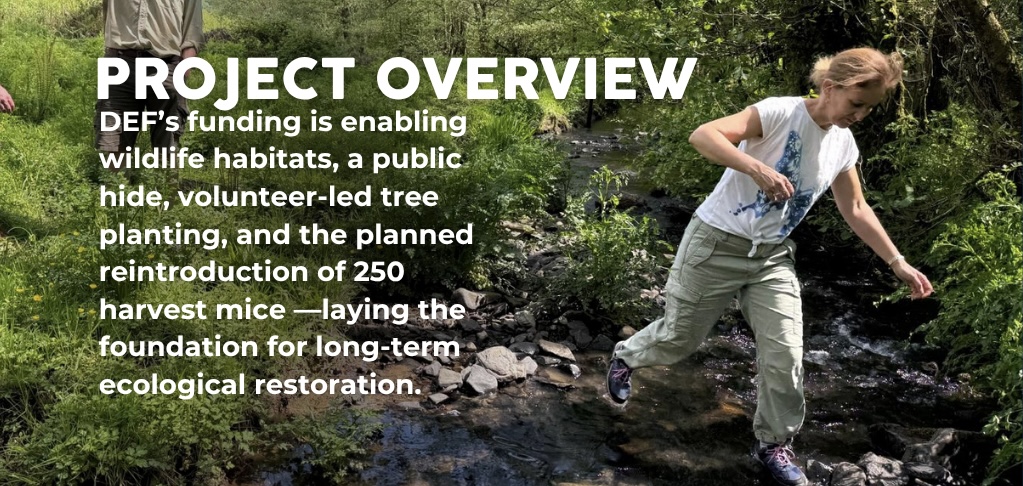 WEBSITE SLIDERS - Washfield Wetland - 2