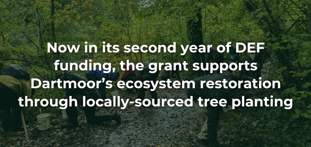 WEBSITE SLIDERS- moor trees - impact update (1024 x 600 px) - 3
