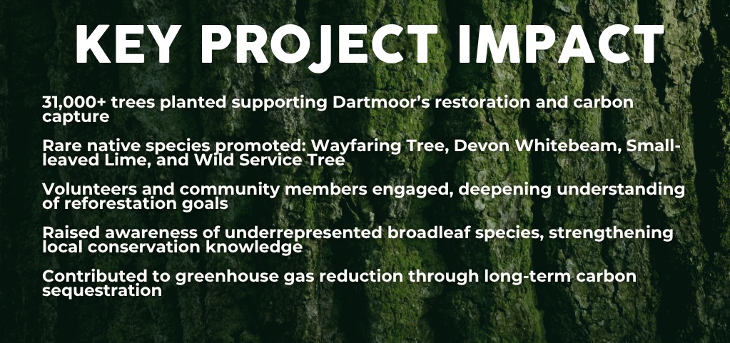 WEBSITE SLIDERS- moor trees - impact update (1024 x 600 px) - 4