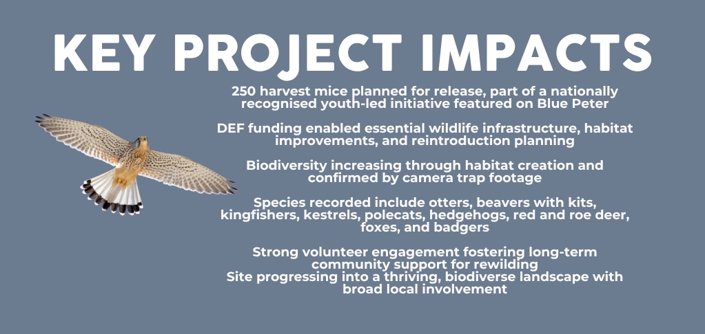 WEBSITE SLIDERS - Washfield Wetland - 4