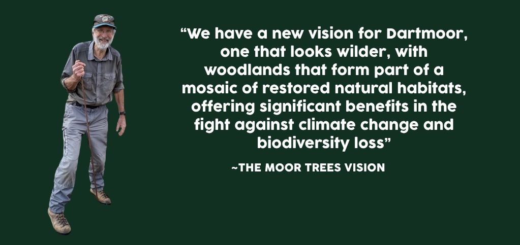WEBSITE SLIDERS- moor trees - impact update (1024 x 600 px) - 6