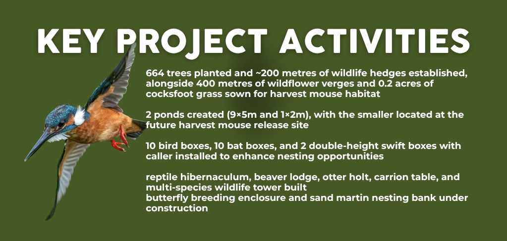 WEBSITE SLIDERS - Washfield Wetland - 6