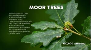 Image 18-12-2025 at 18.07