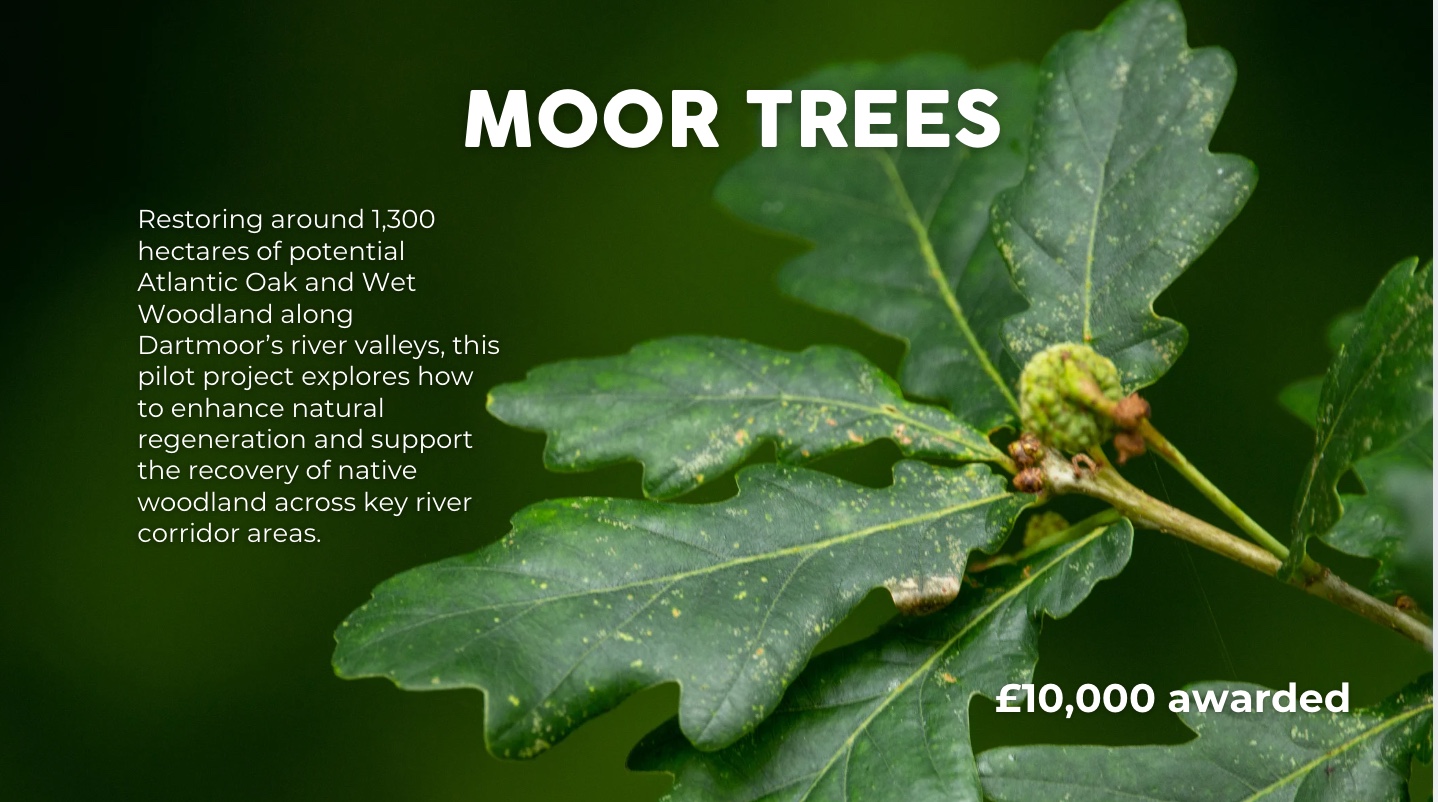 Image 18-12-2025 at 18.07