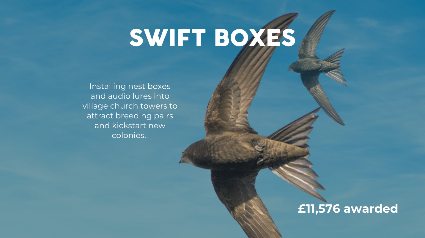 Image 18-12-2025 at 18.12